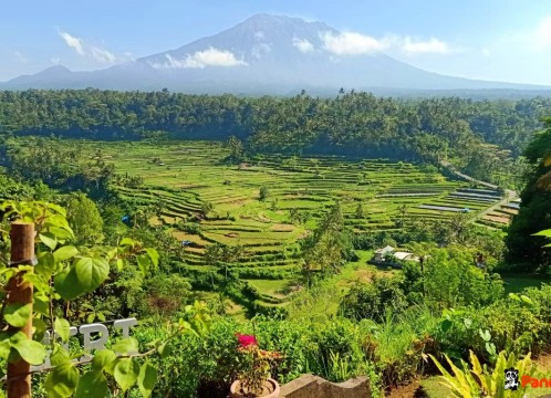 マハギリレストラン ビュー